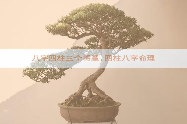 八字四柱三个将星,四柱八字命理