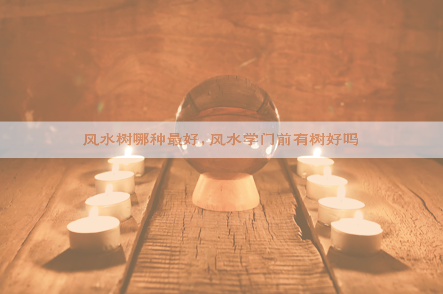 风水树哪种最好,风水学门前有树好吗